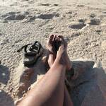 SandyH