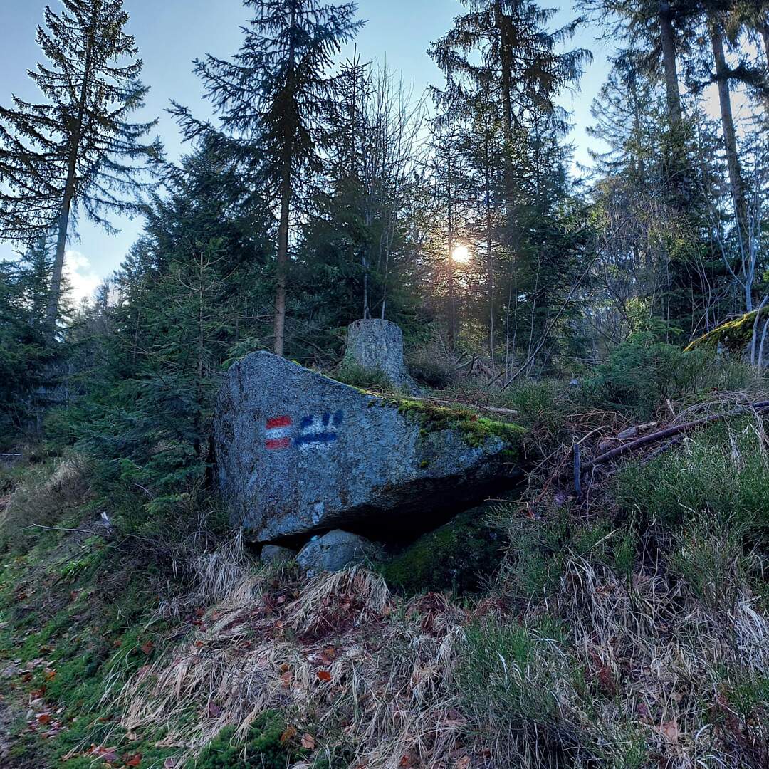 Bayrischer Wald