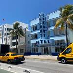 Angelique Dijkstra van Veen