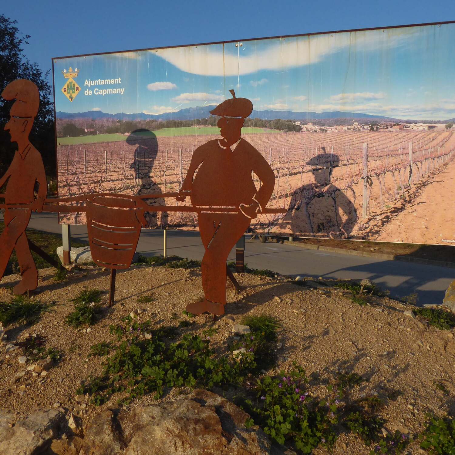 Capmany 🇪🇸 Scouting 2025/26