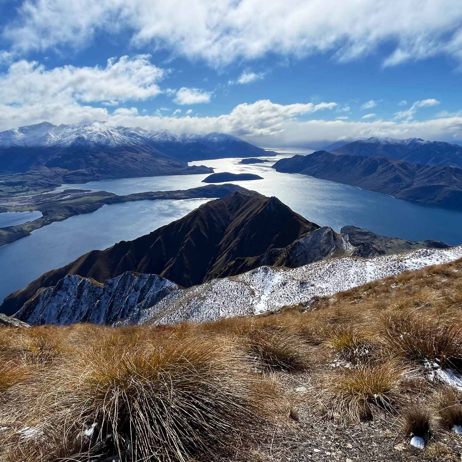New Bretz’ealand 🥨🇳🇿