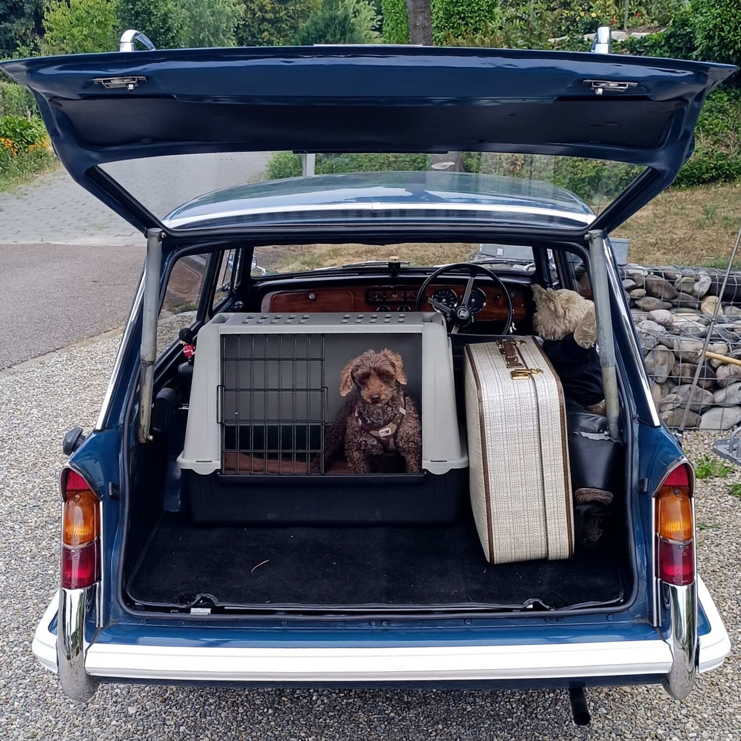 Reise mit Edy 🐕 und Oldtimer 🛺