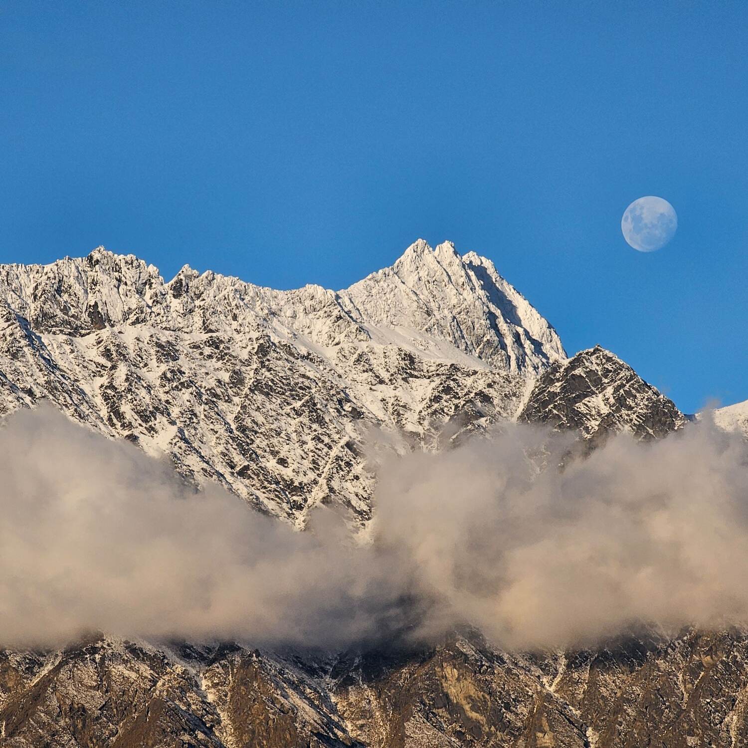 New Zealand Volunteer Year