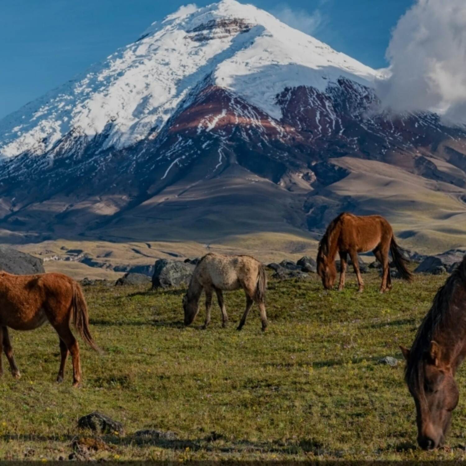 Ecuador