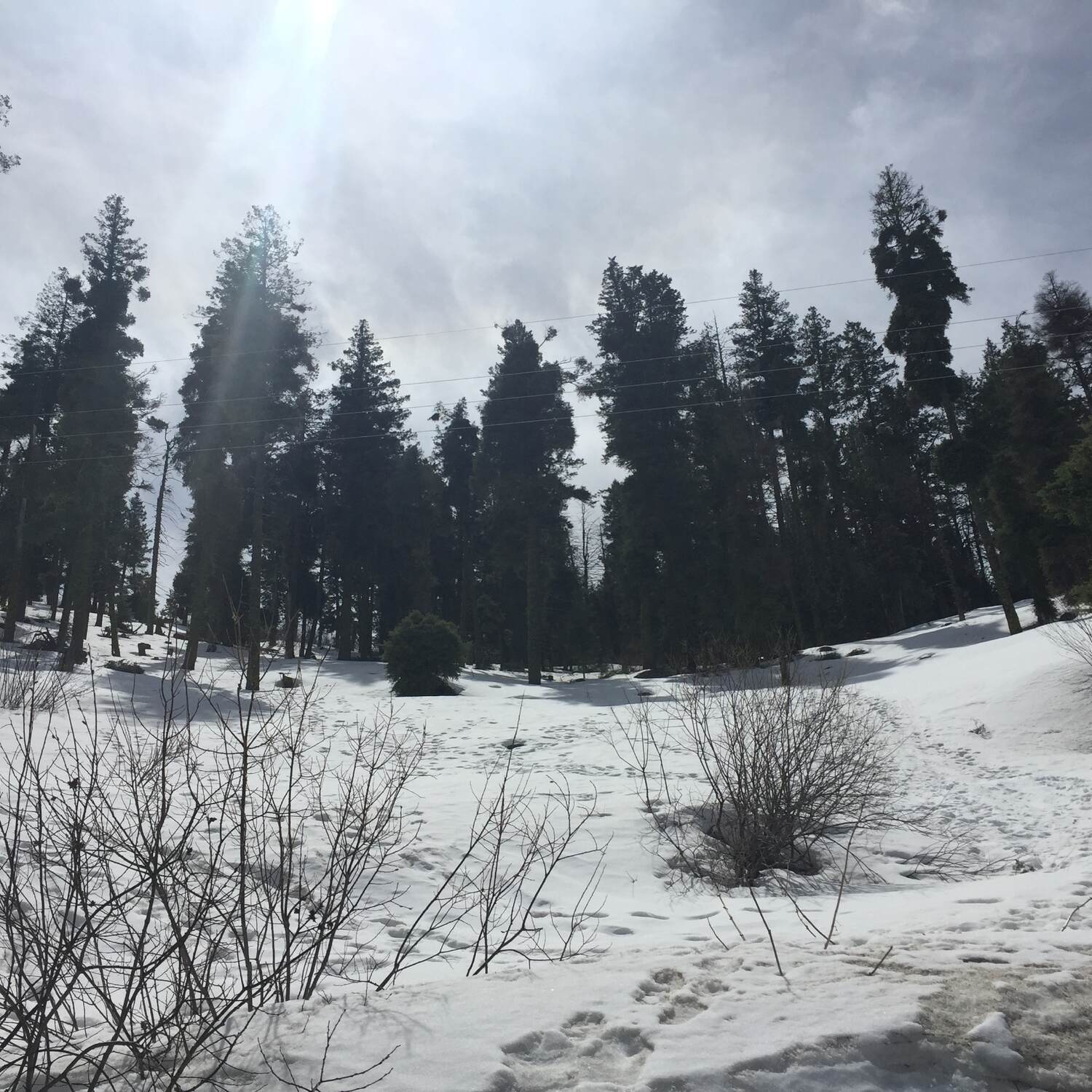 Boise, ID