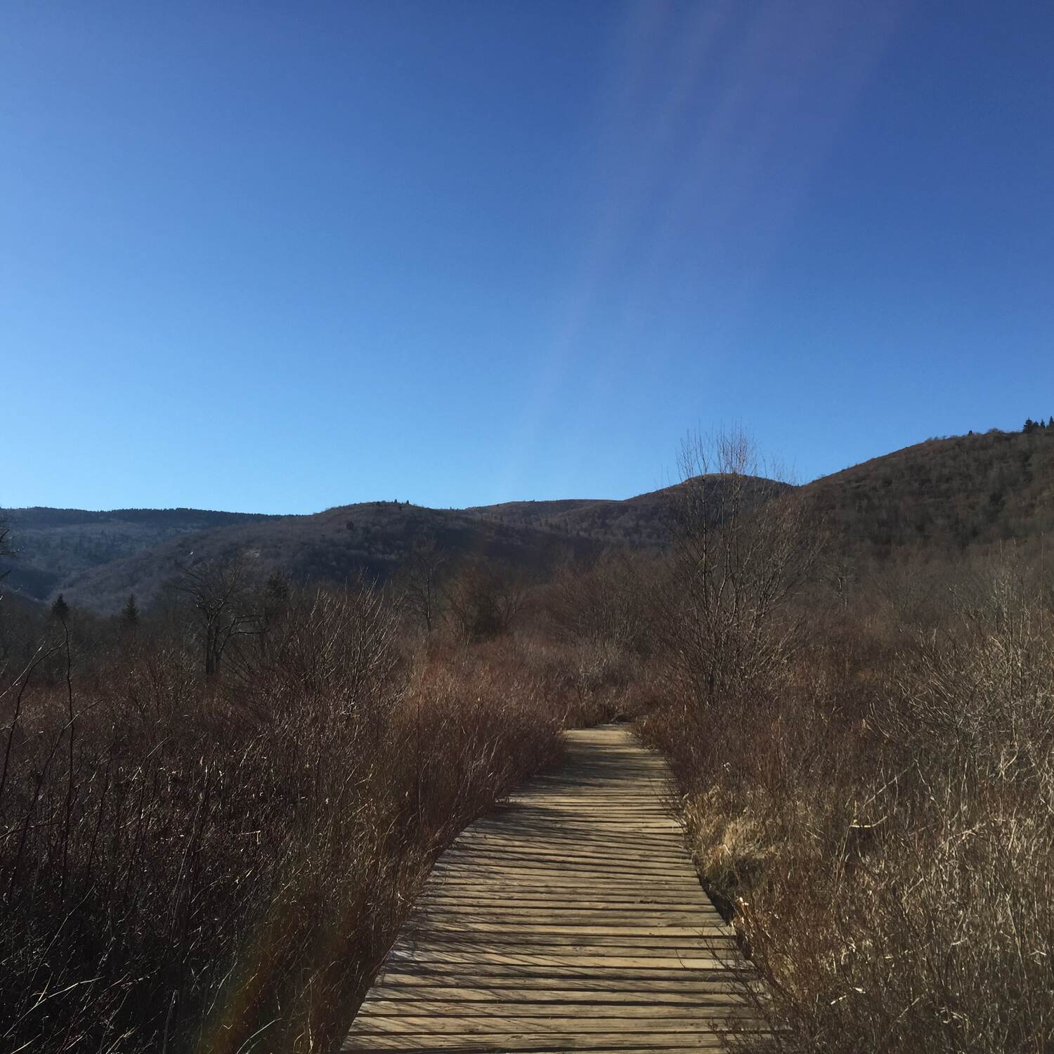 Waynesville, NC