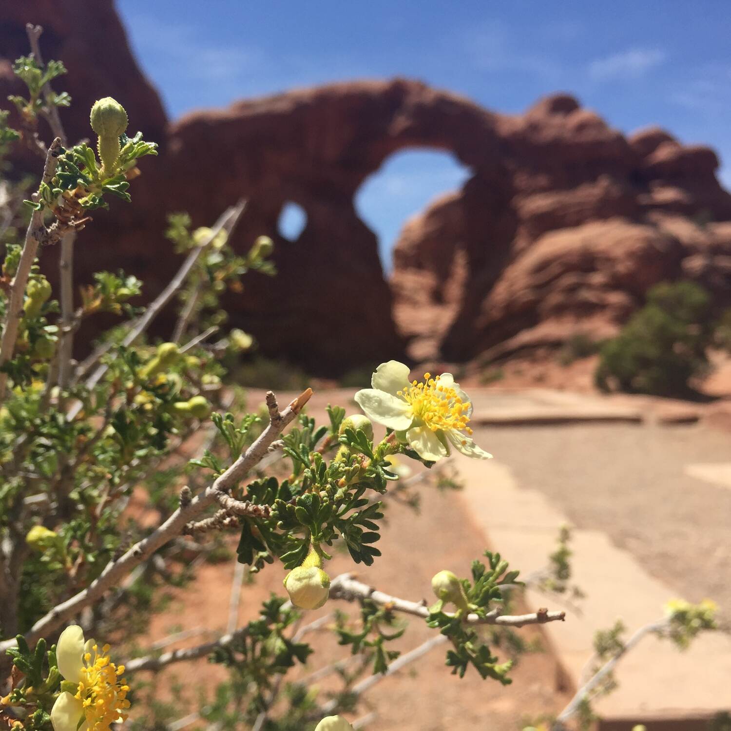 Utah