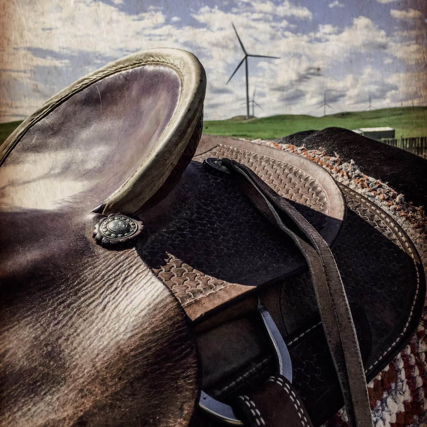Colorado Cattle Co.