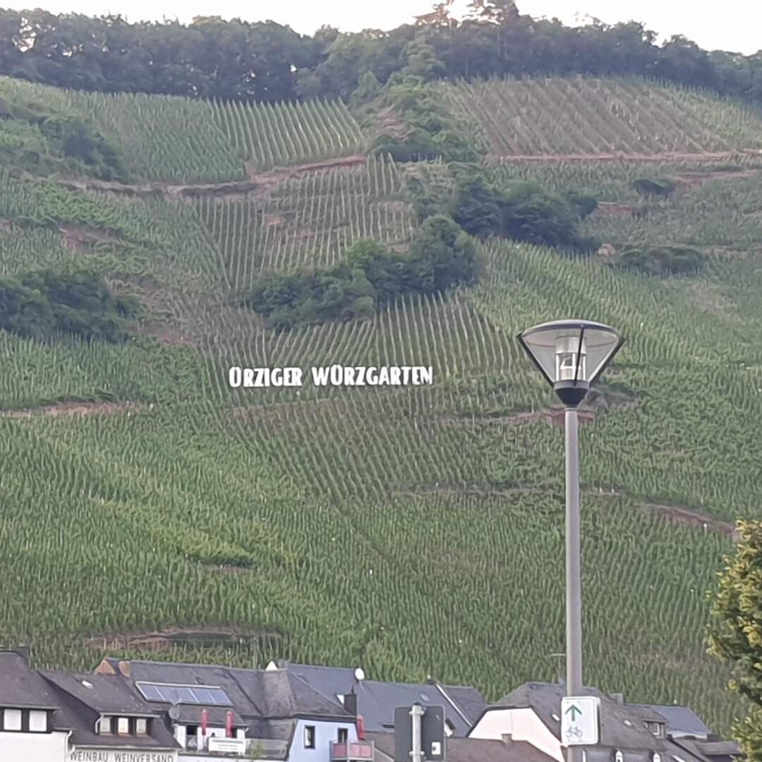 20220615 Mosel