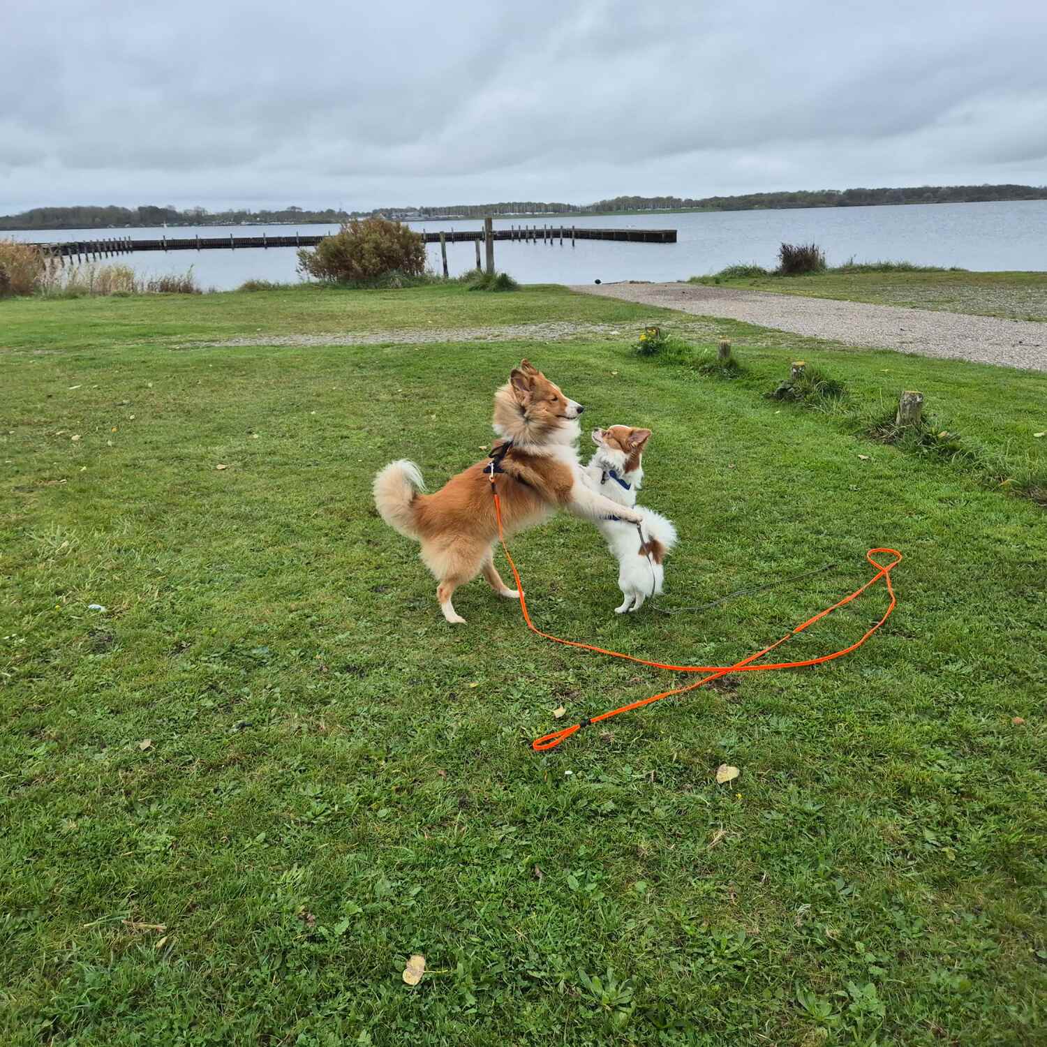20241102 Camperland Zeeland