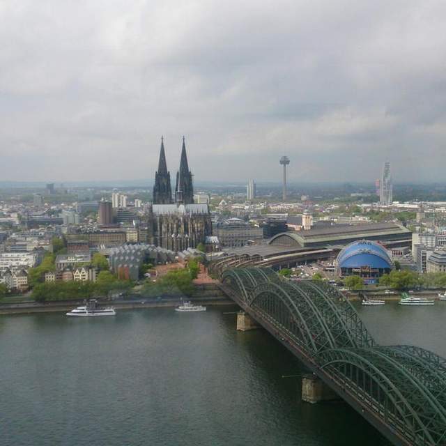 Yellowfox Köln