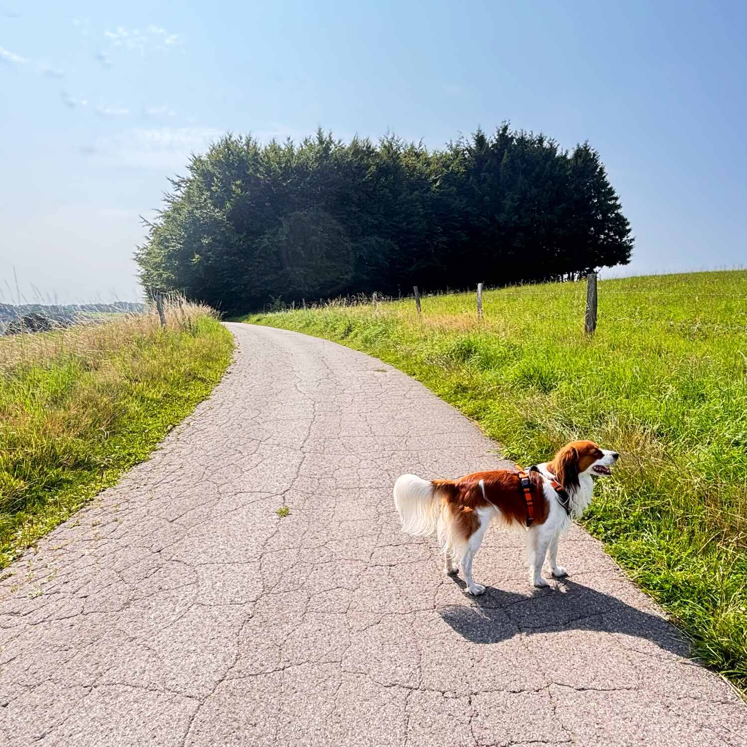 Kurztrip an die Mosel + Ahr