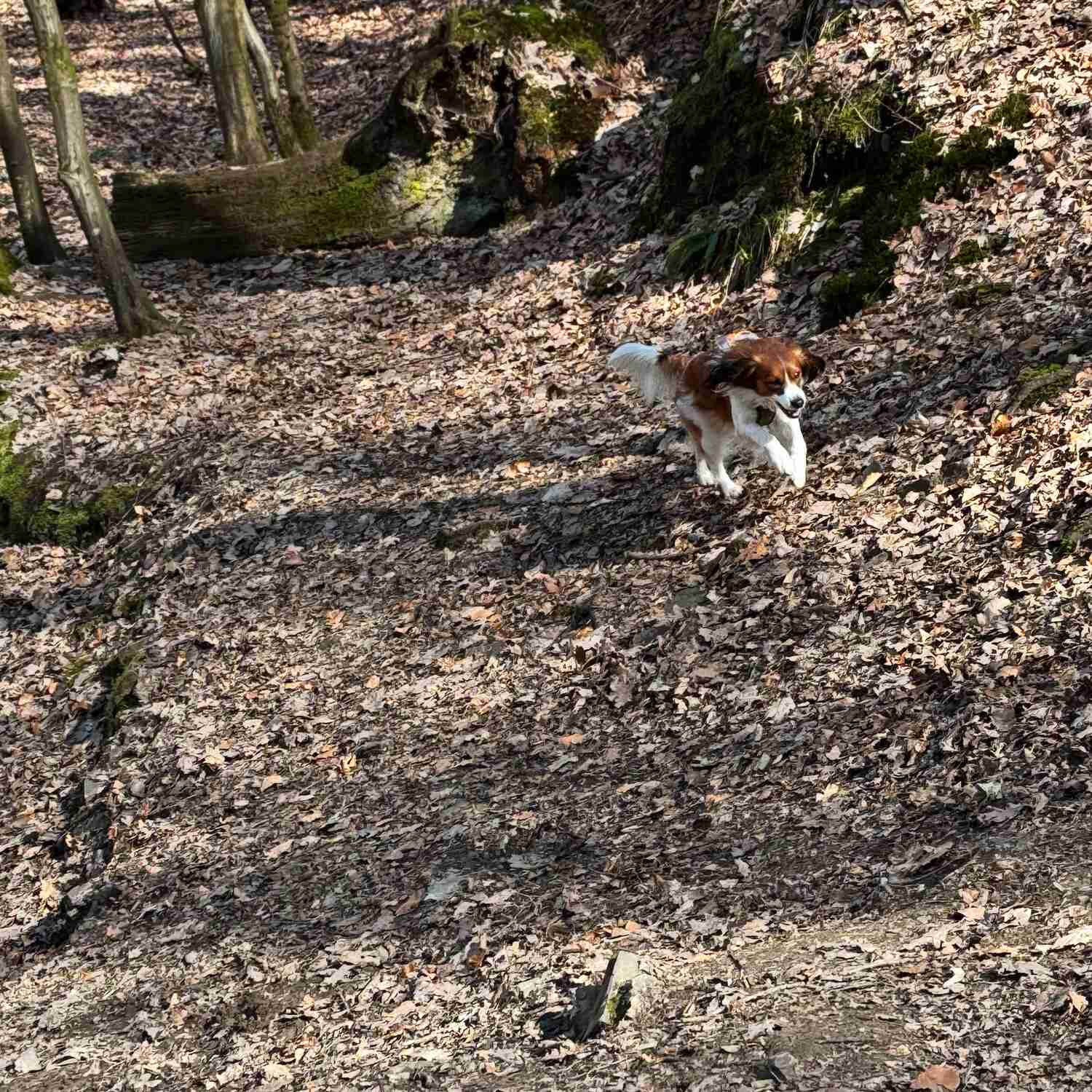 Lago Maggiore - Ostern 2026
