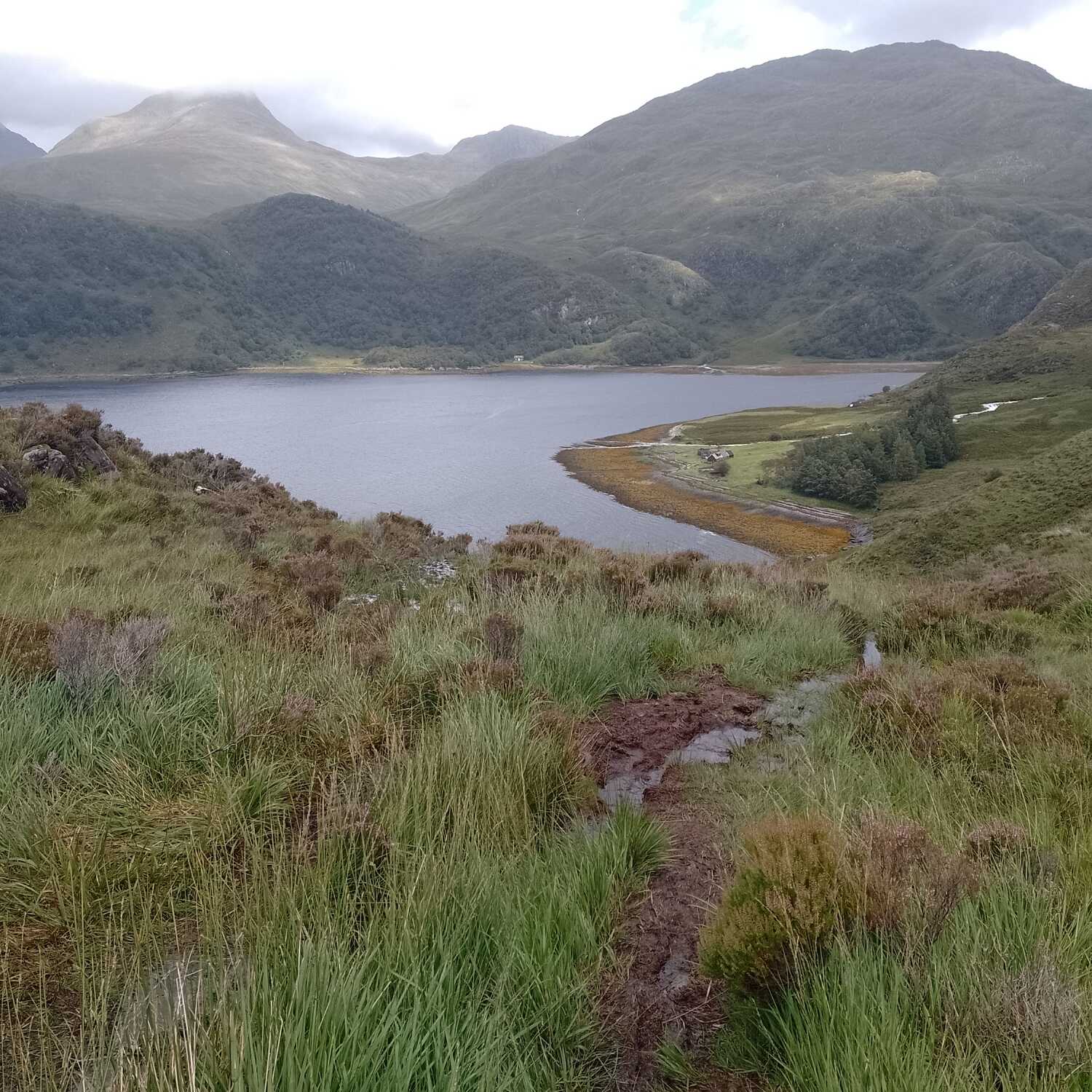 Knoydart August 2025