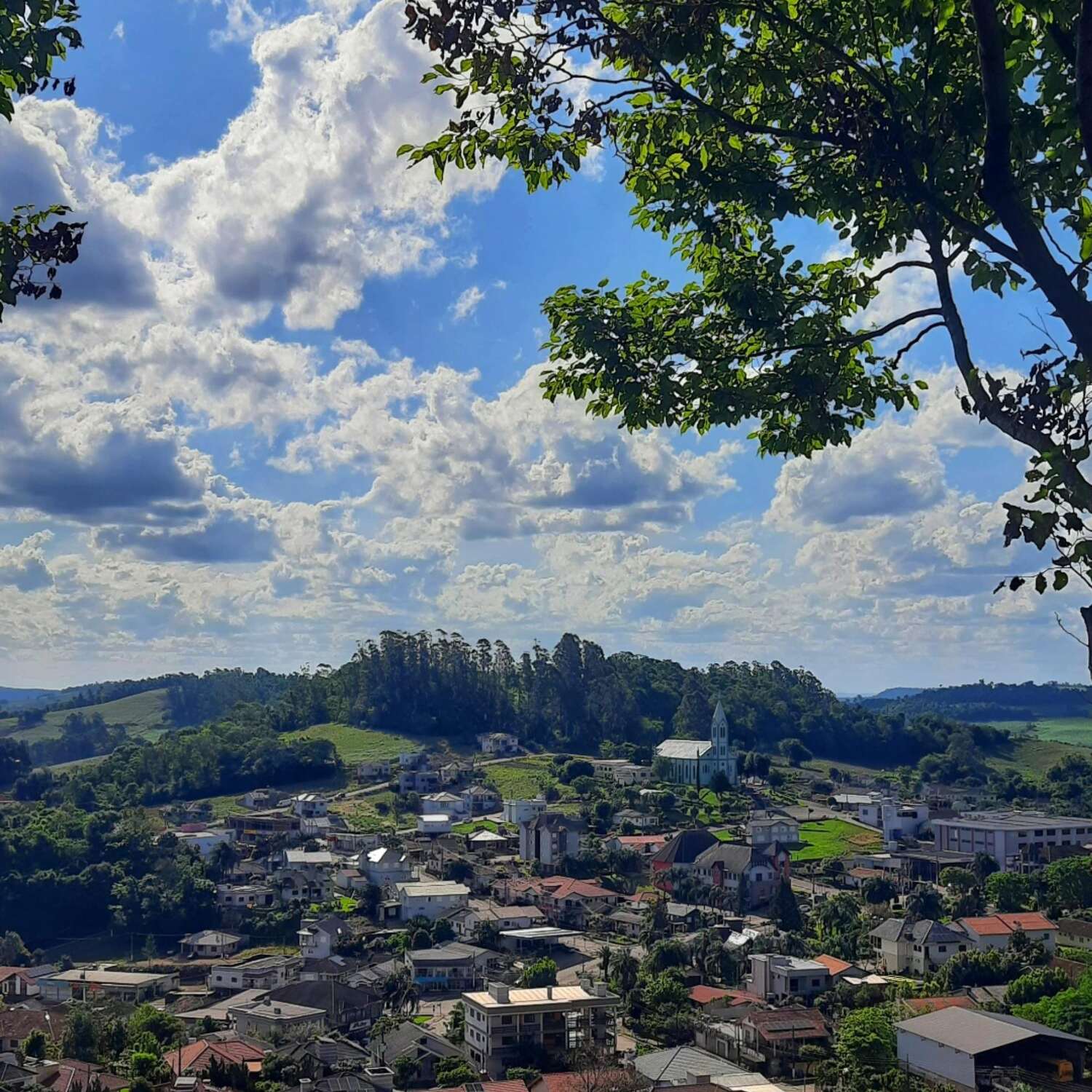 Nova candelária