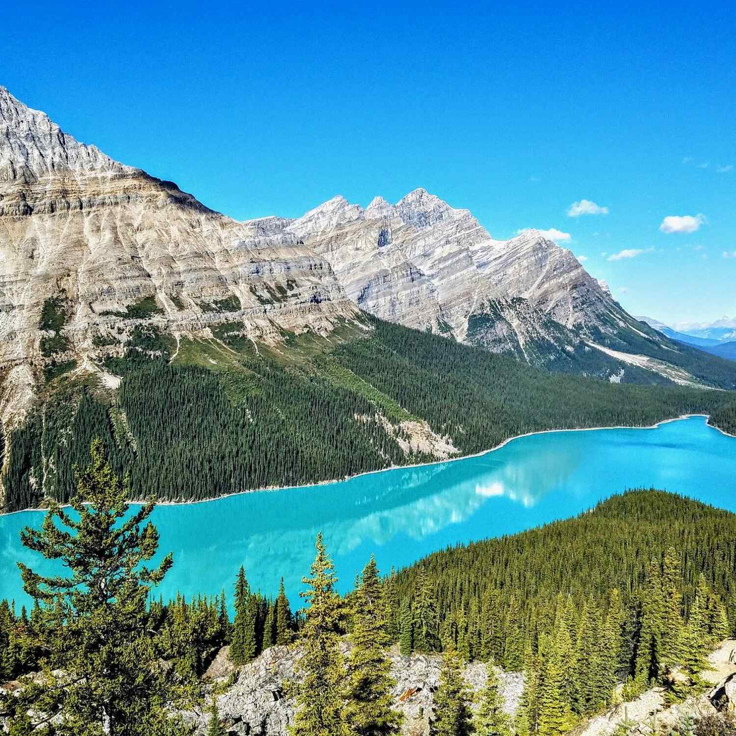 Canada 🇨🇦