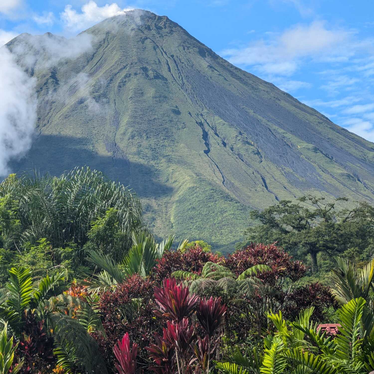 Costa Rica 🏖️🐚🦥🌴