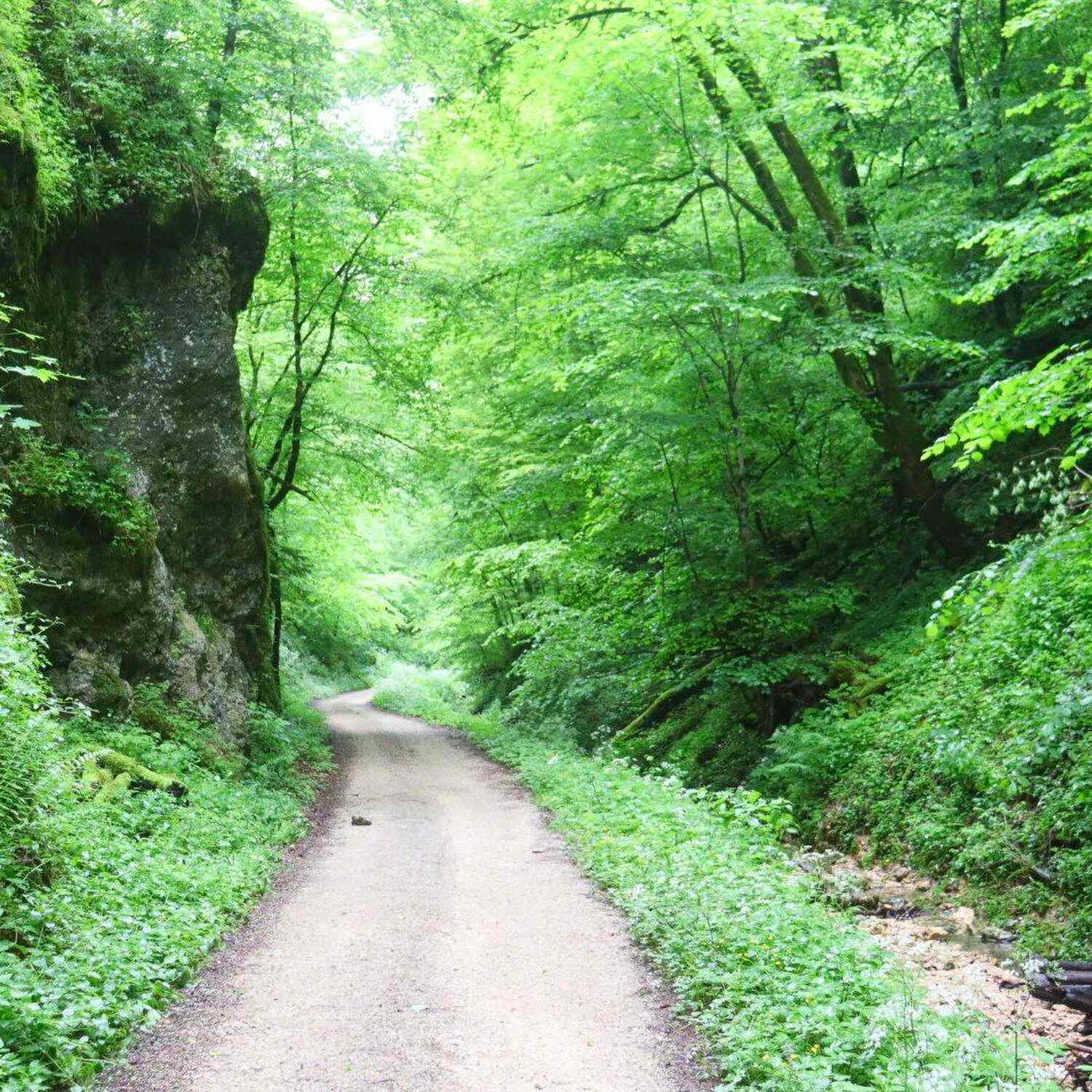 Münsingen - Bad Urach