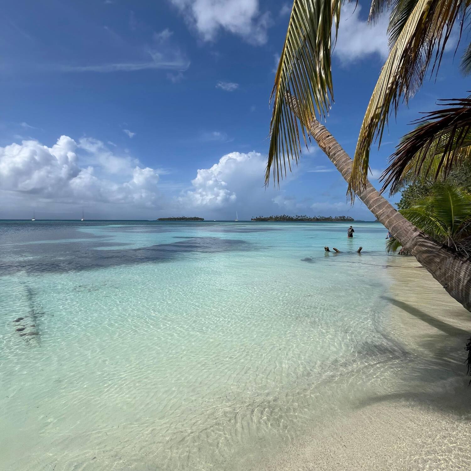 Panama , "Sy Carpe Diem "