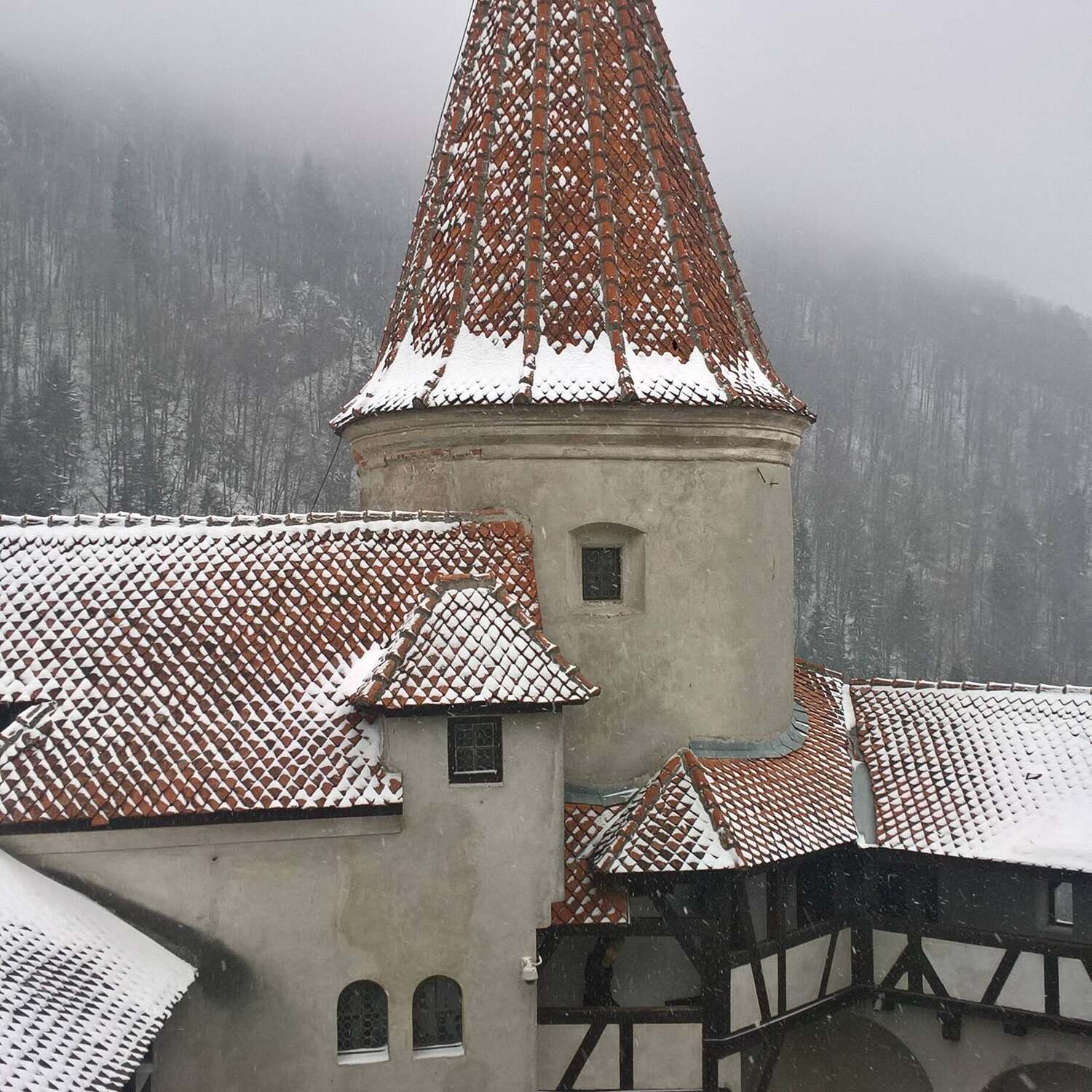 Transilvania