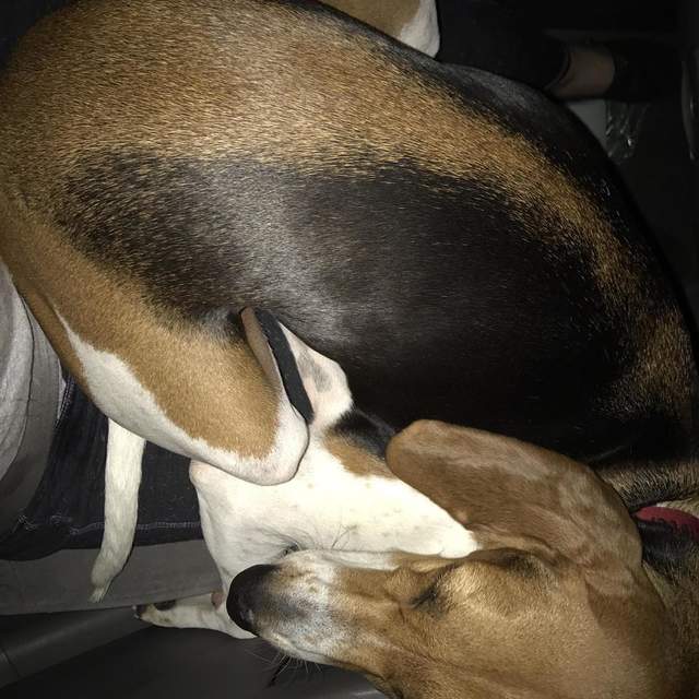 Broken Bow - November 2017