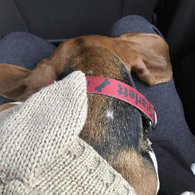 Nashville - Dec 2017-Jan 2018