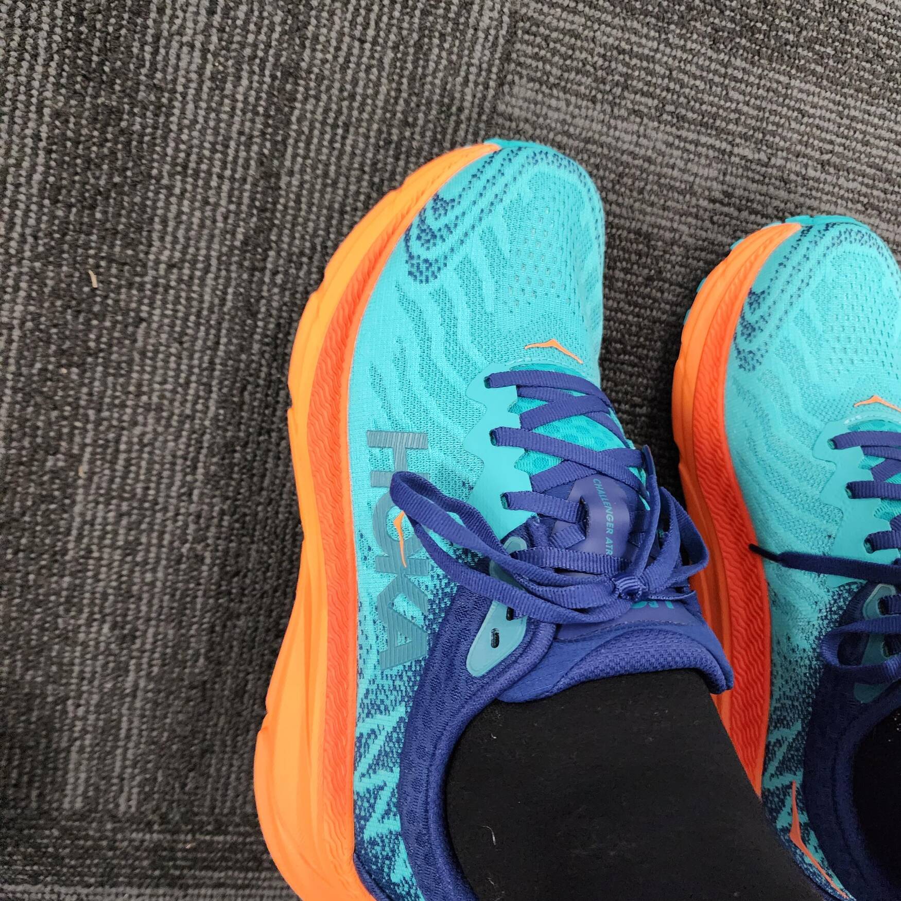 Living my Camino dream