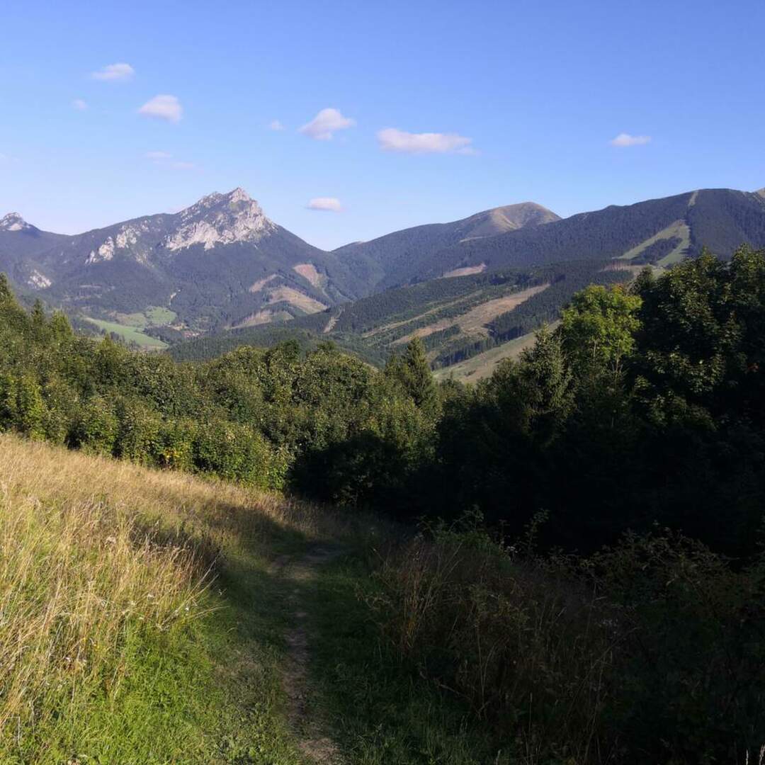 Fatra 2019