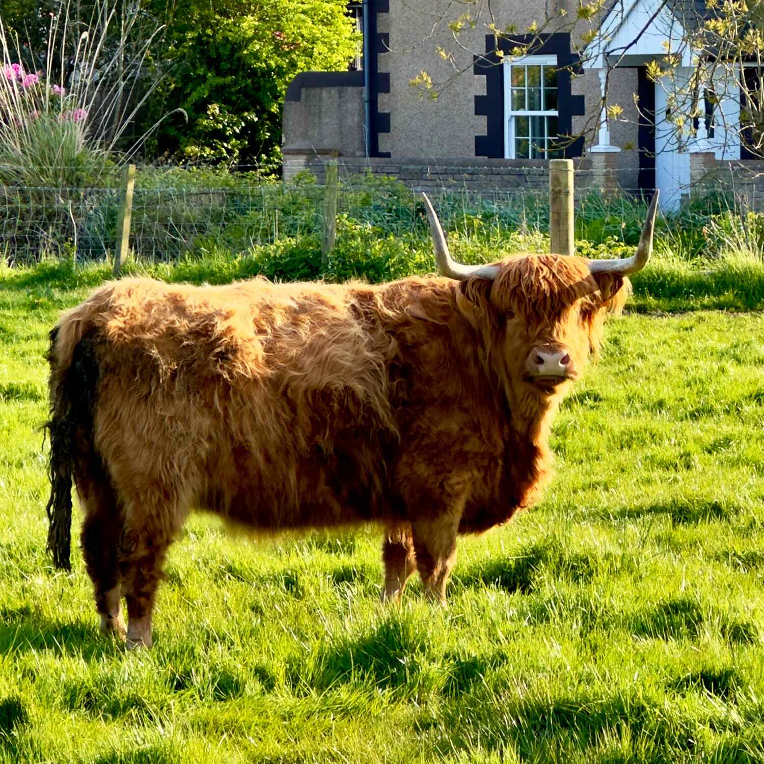 Scotland, West to East