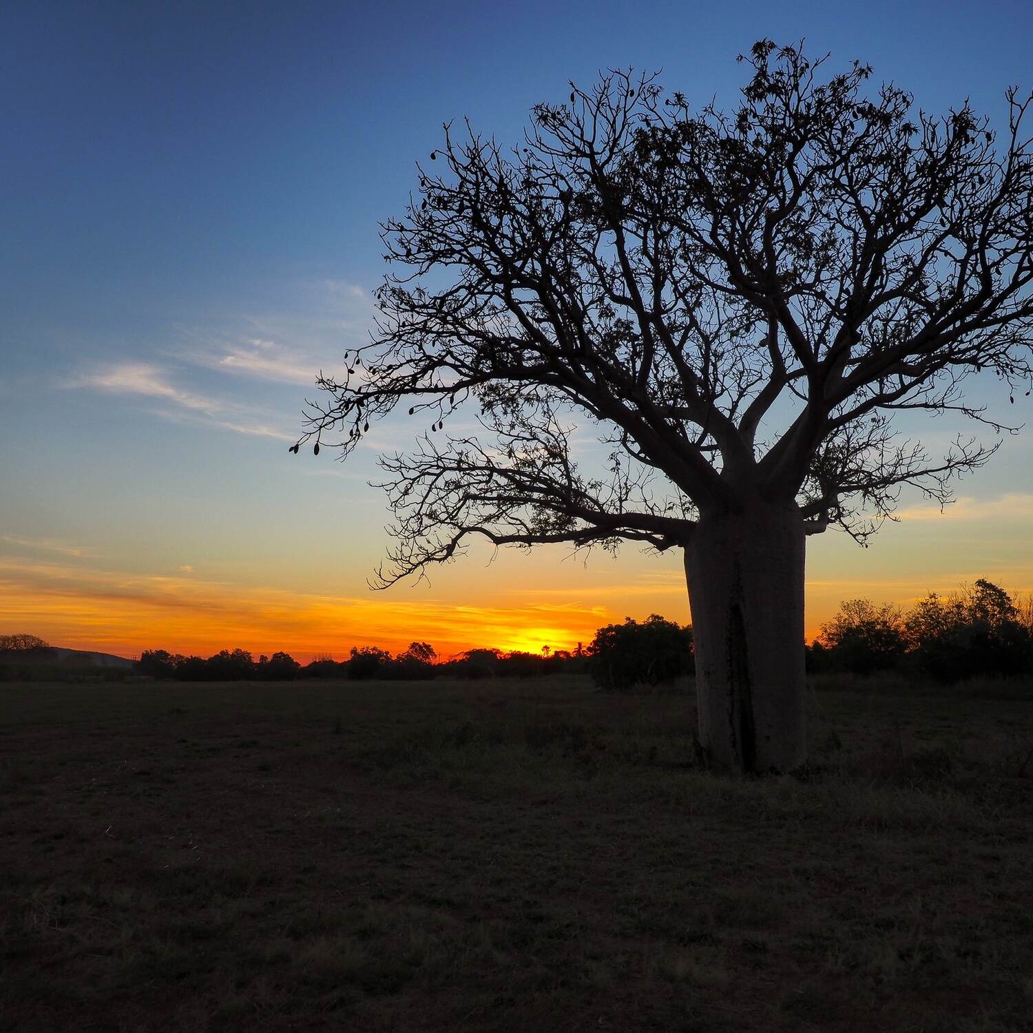 Kununurra & The Kimberley, WA