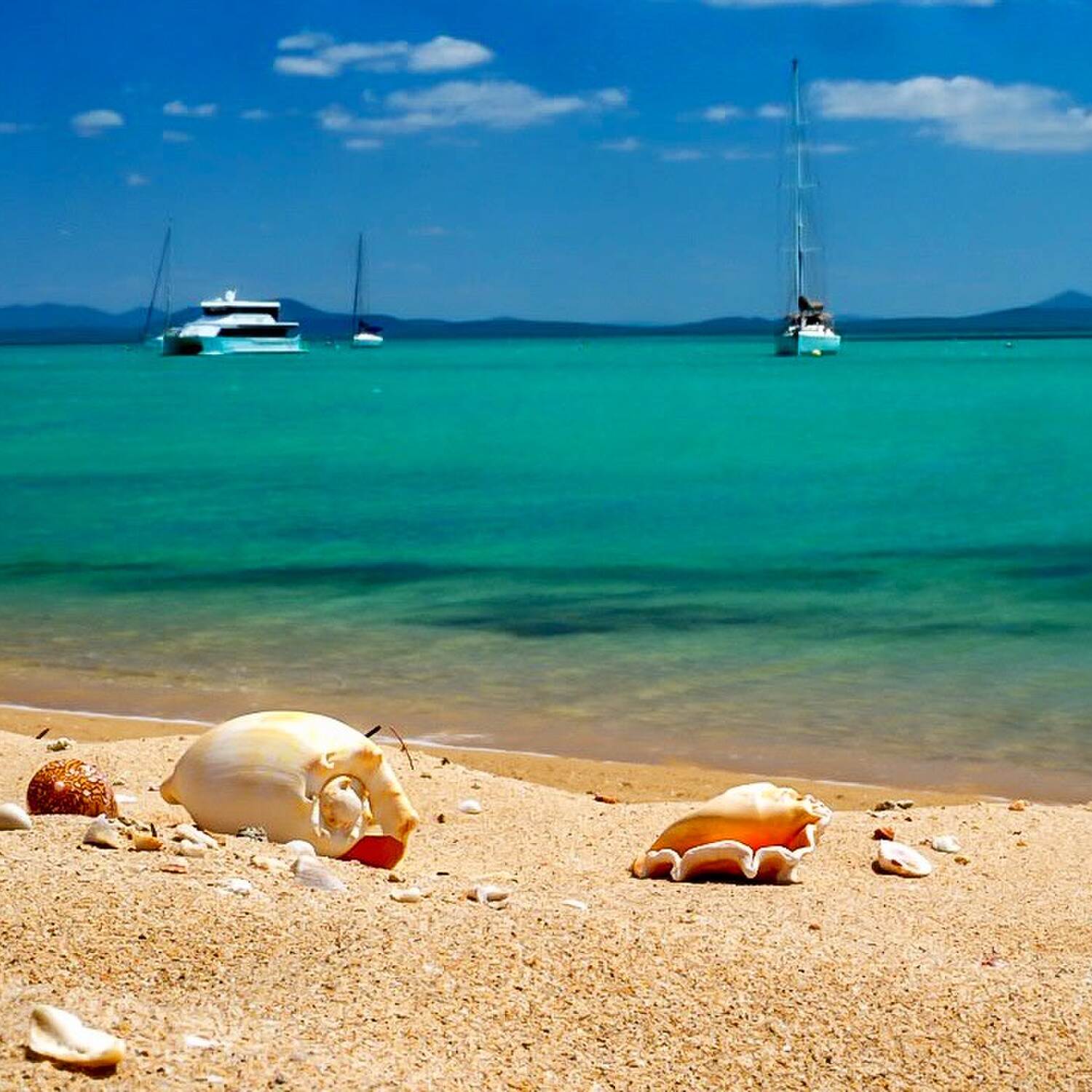 Airlie Beach, Proserpine, QLD