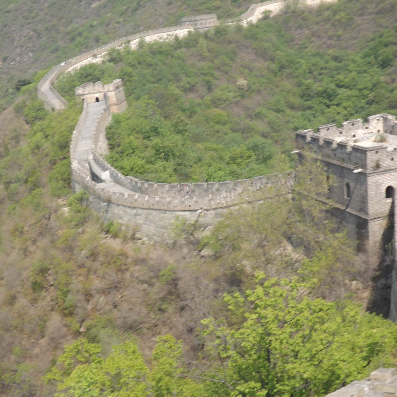 Chine