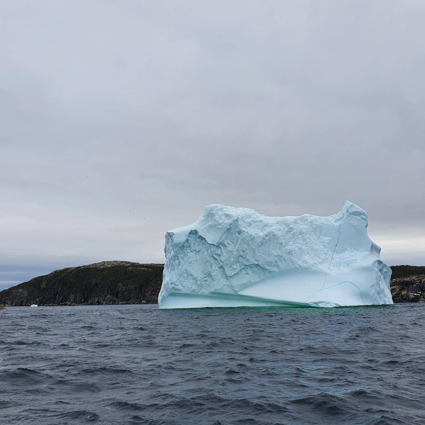 CANADA Terre-Neuve