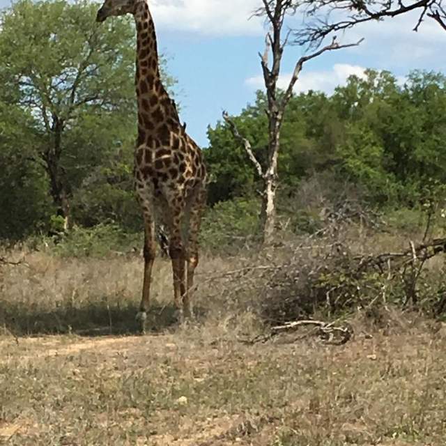 Südafrika