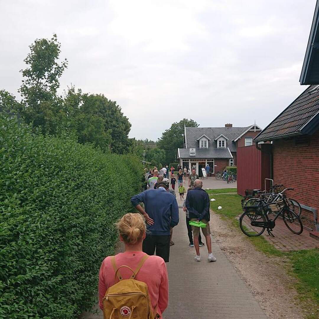 Föhr 2020