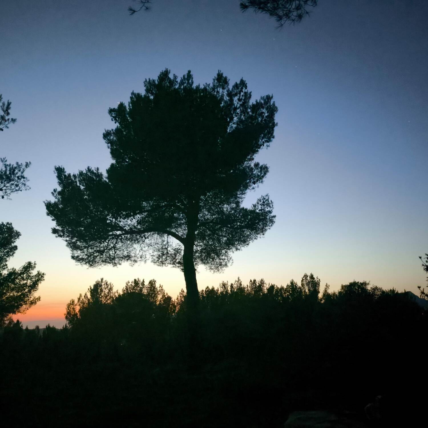 Mallorca