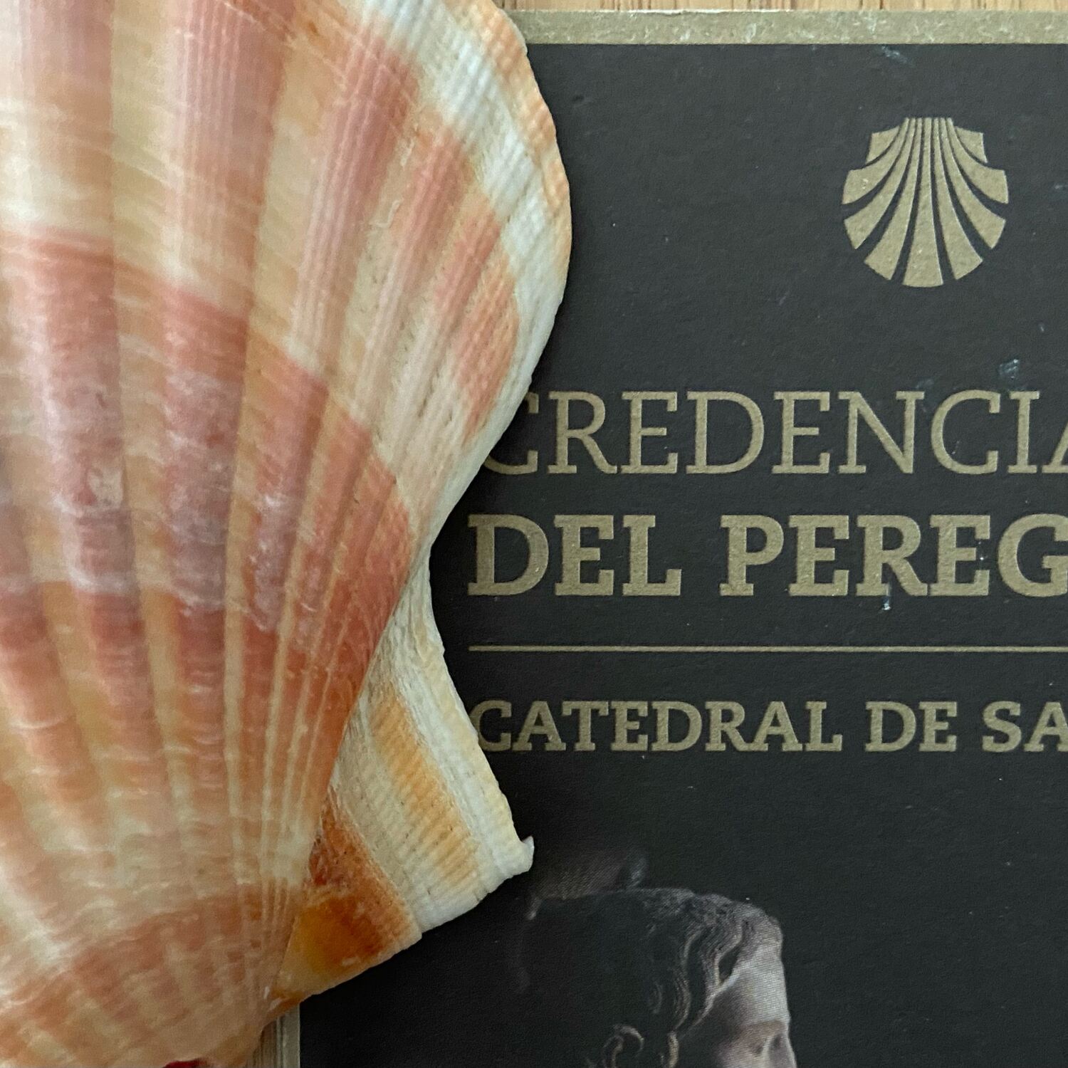 Camino Francés #1