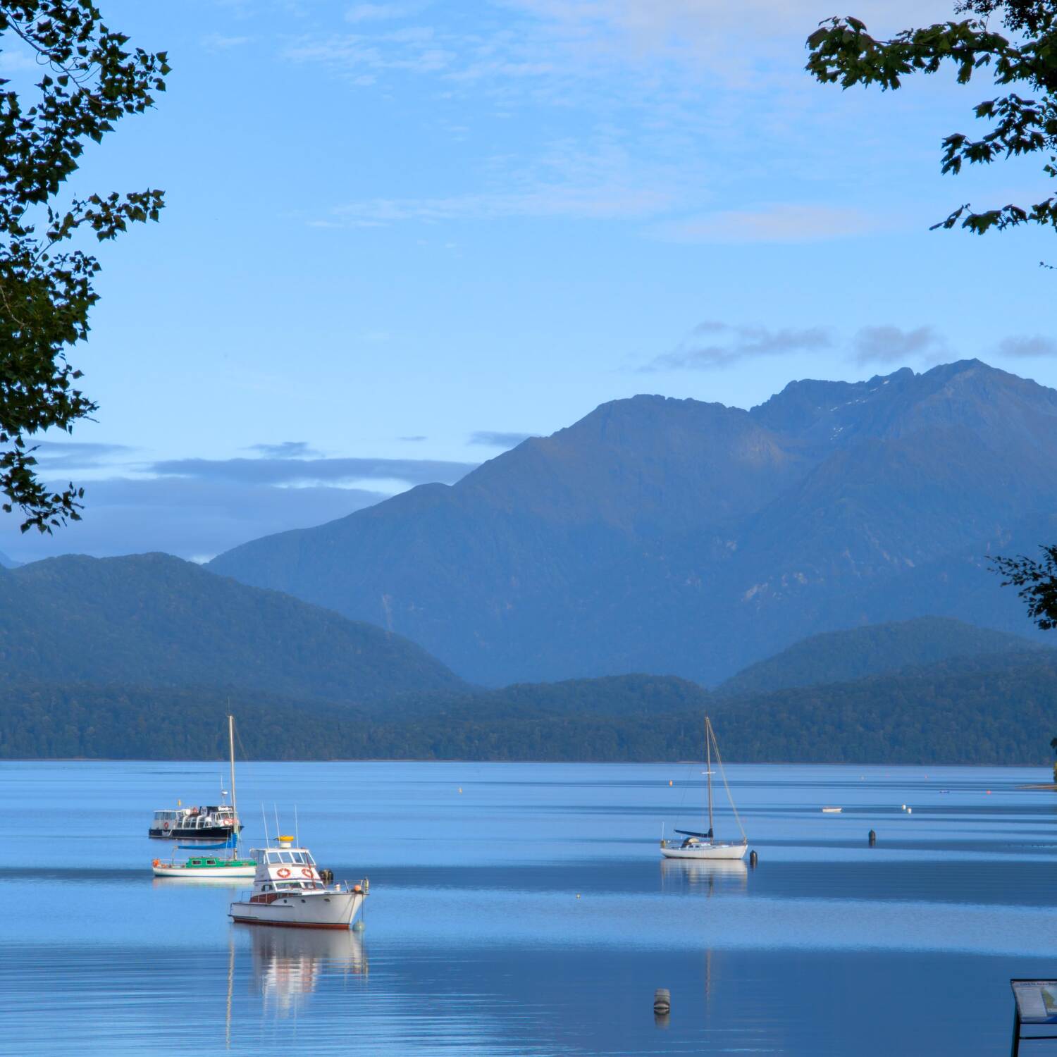 Kiwi & Coconut Chronicles