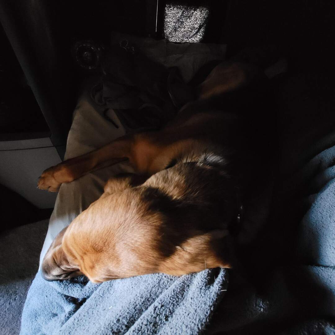 IL to Dallas