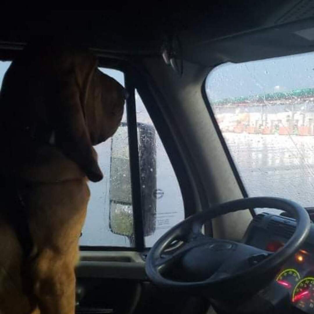 On The Road Again