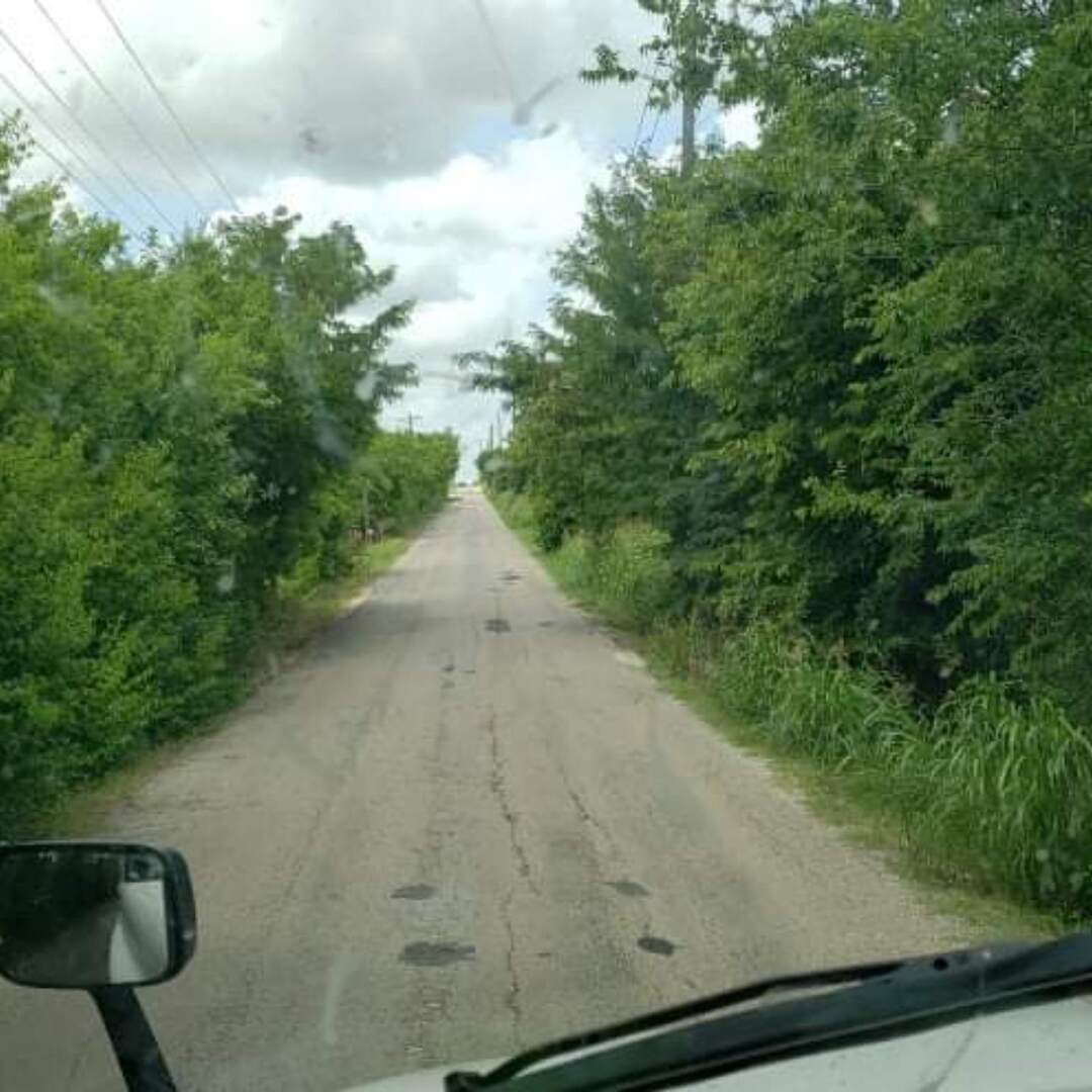 Indiana to Texas