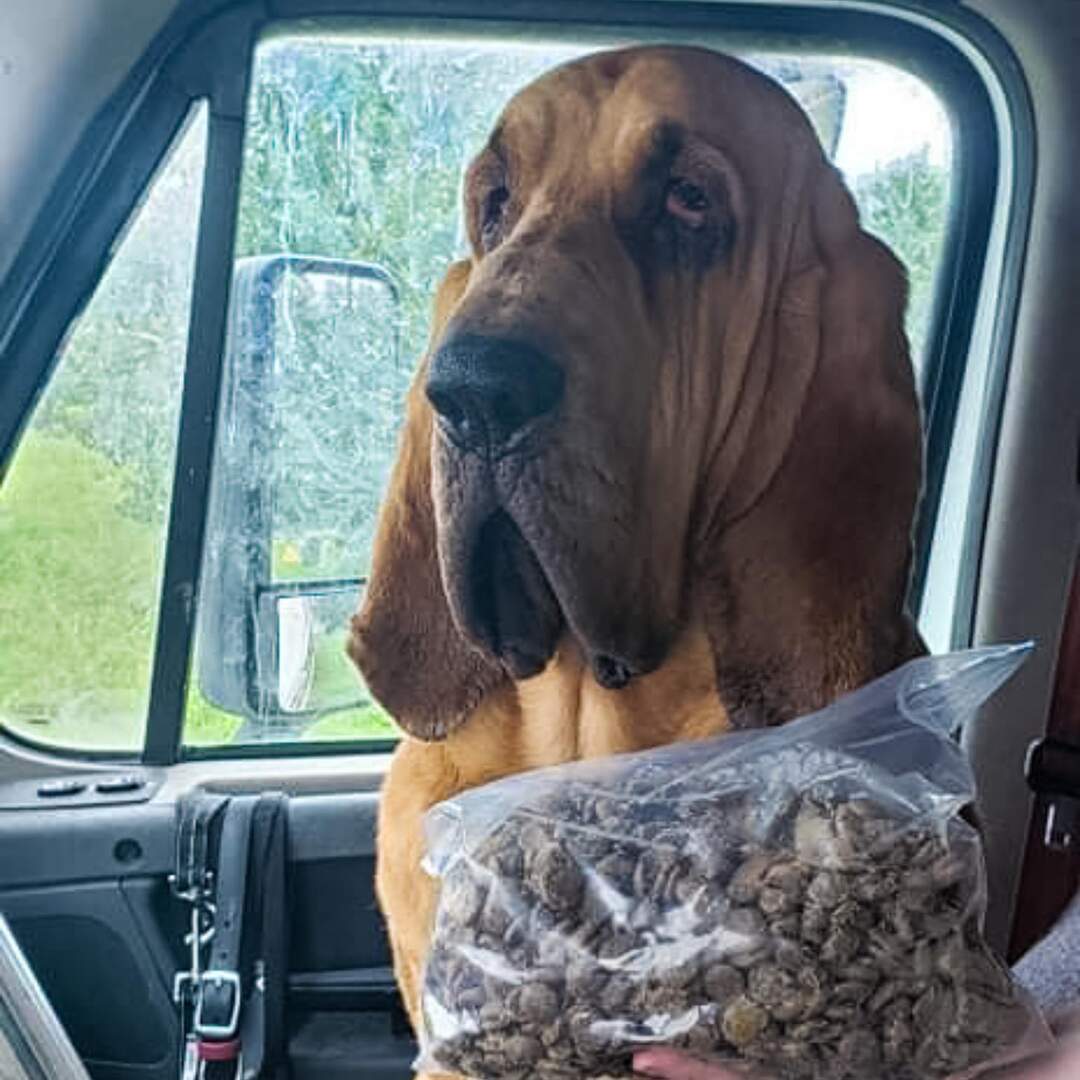 Mississippi to Indiana
