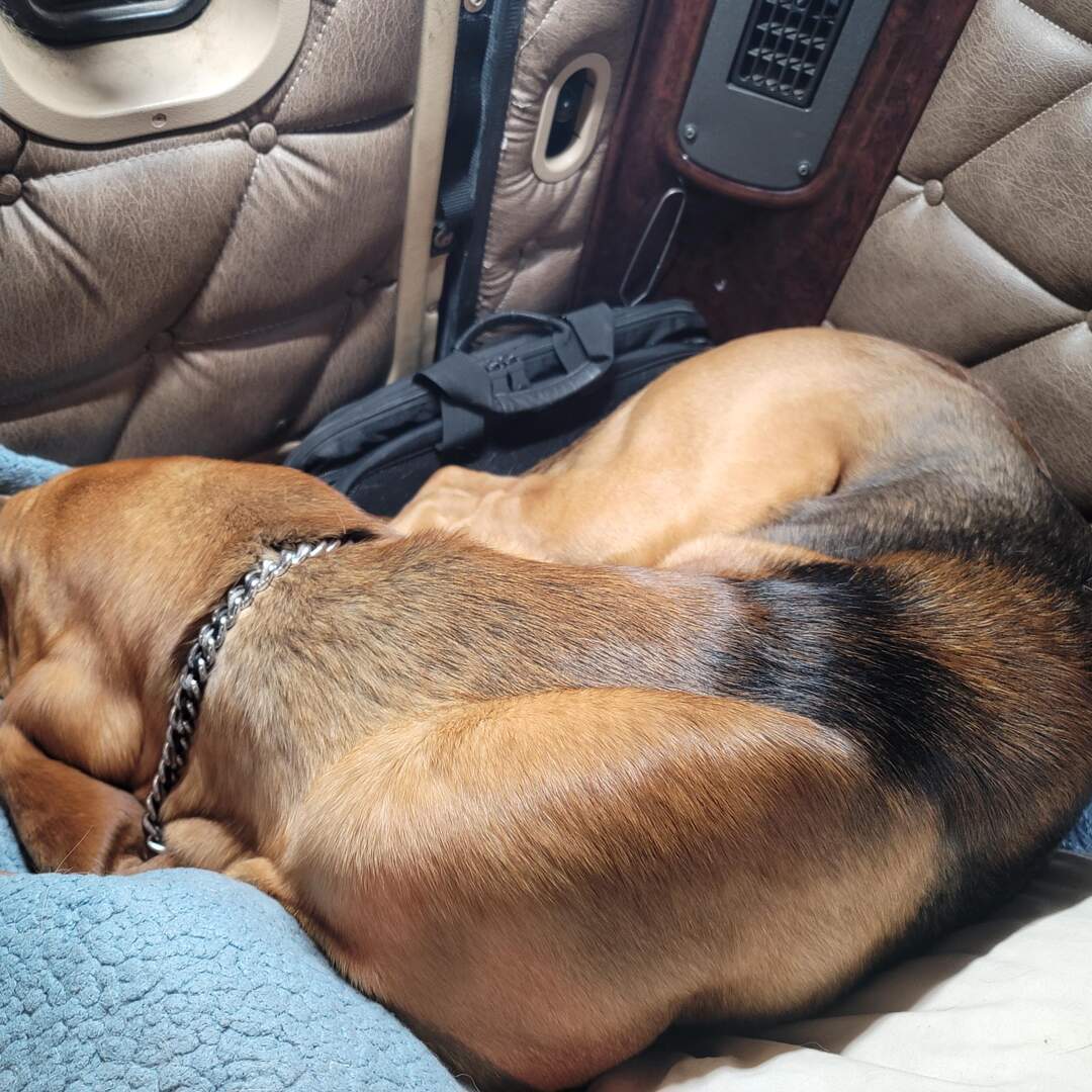 The Big Trip