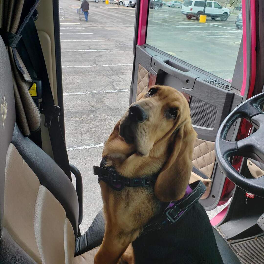 Important Business