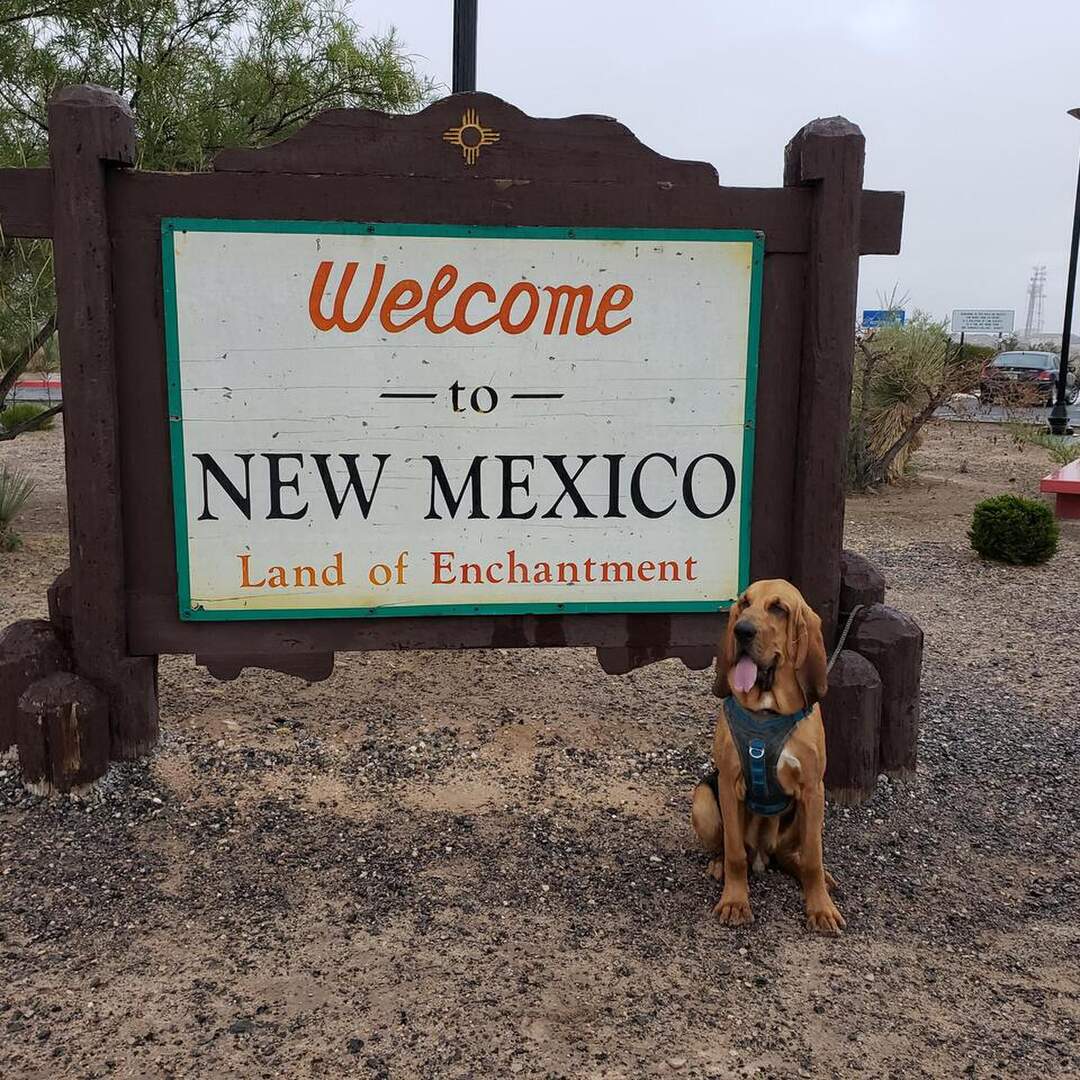 Texas to California