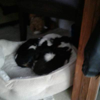 Clearwater BC to Belize