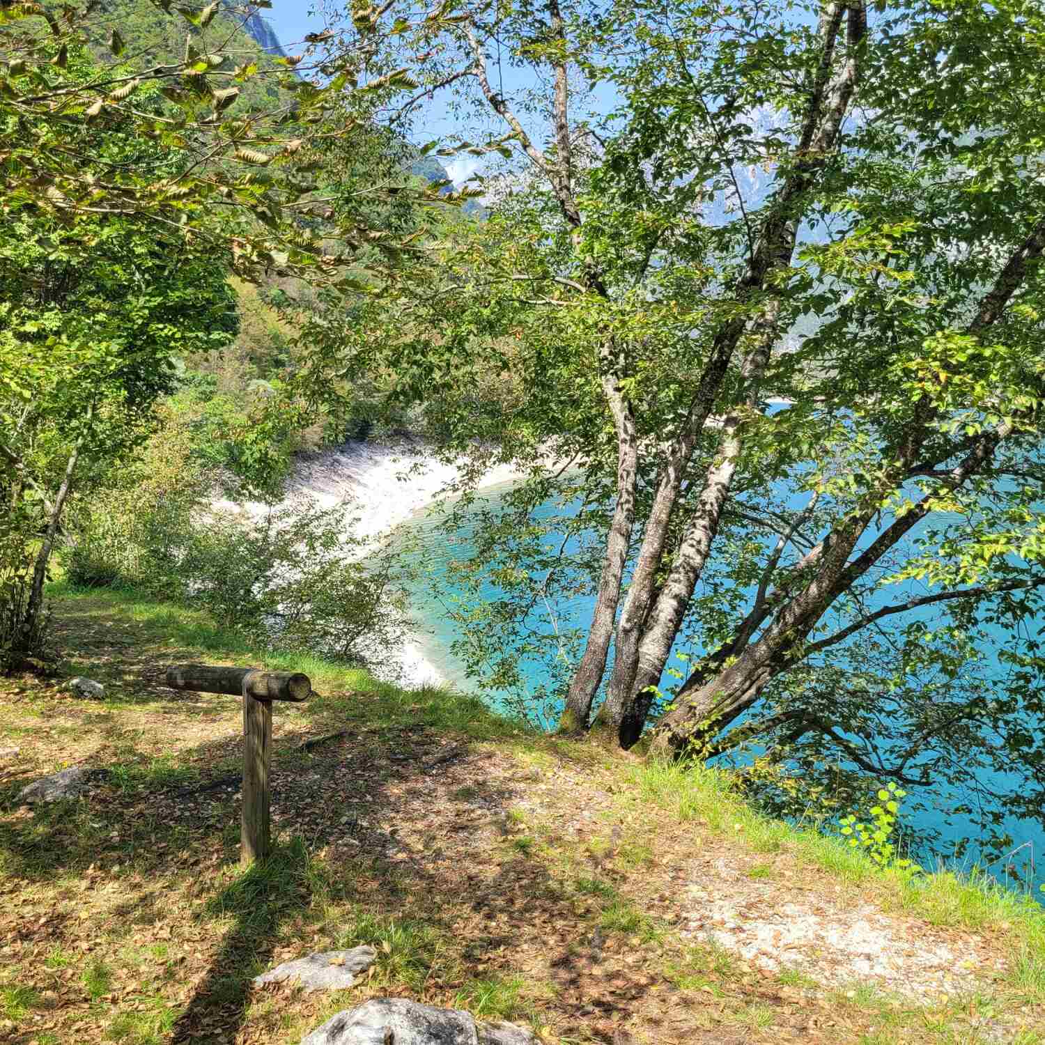 Dalle Dolomiti al mare 2023