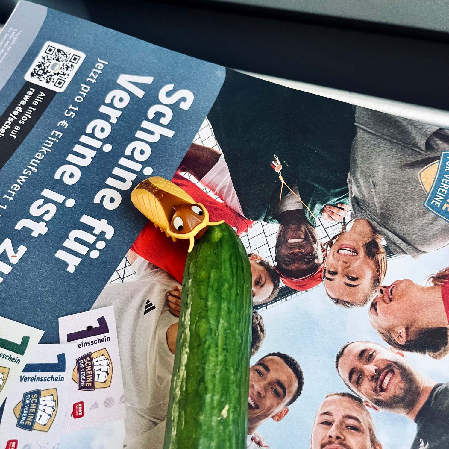 Kreta mit Schabi Javi🪳