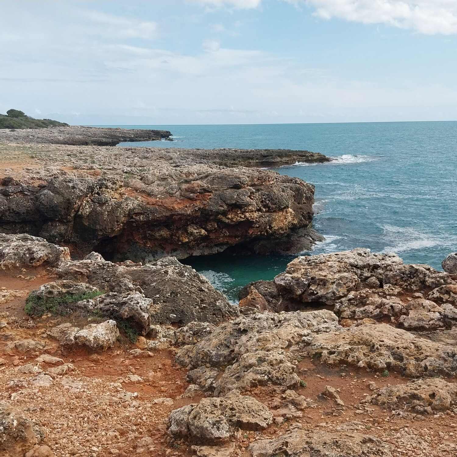 Mallorca im Frühjahr 🏞🌞💃🕺