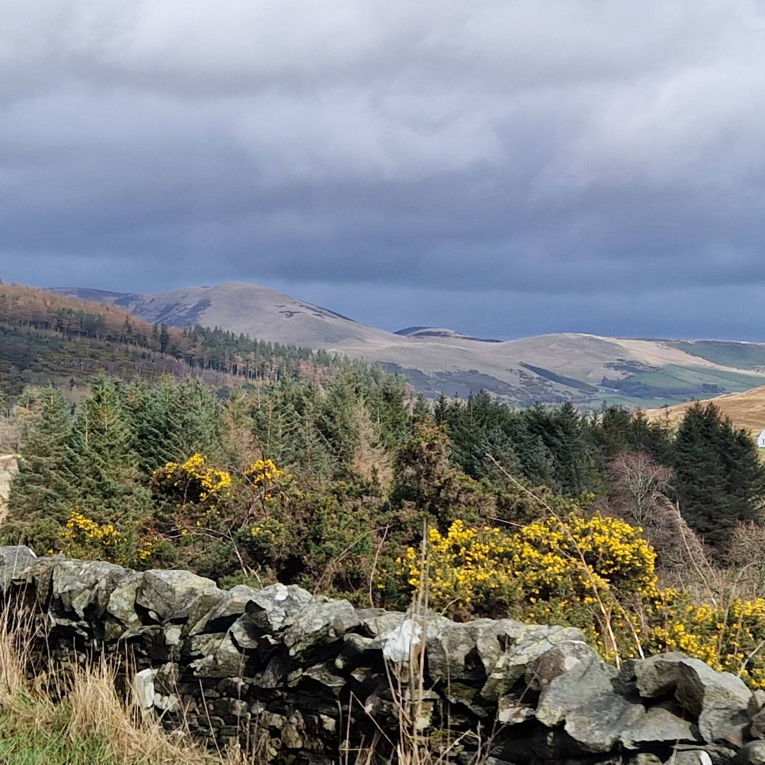 The Scottish Borders